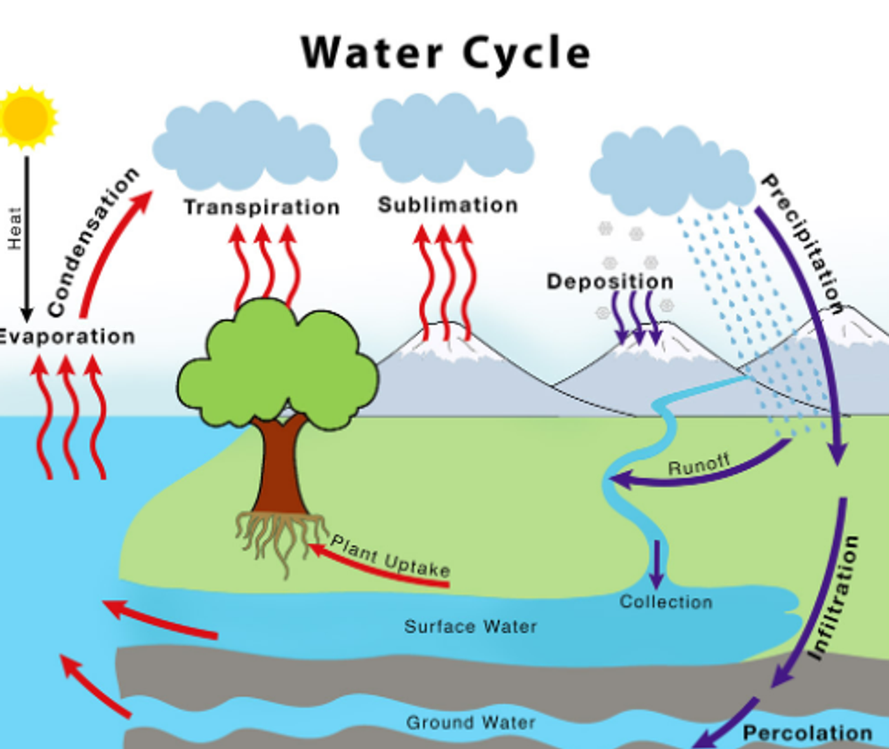 A diagram of the water cycle with vocabulary