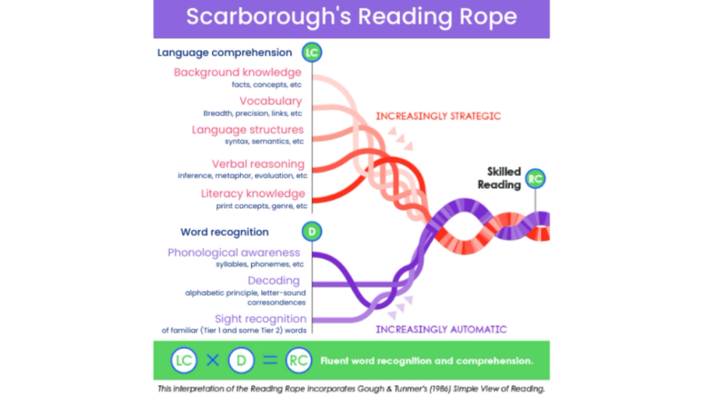 A rope diagram to show the skills needed to be able to read