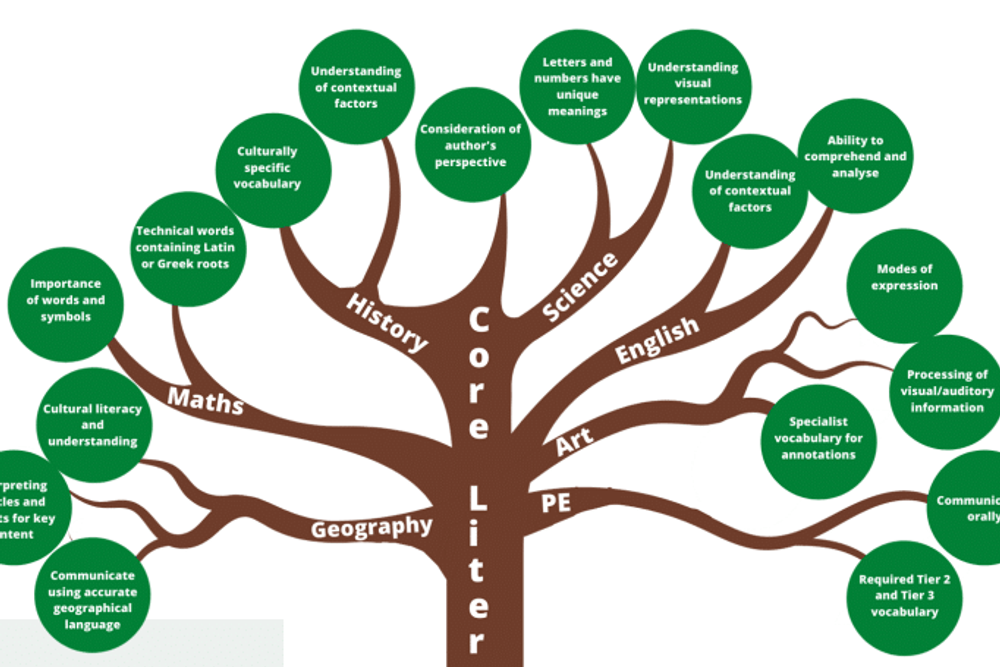 A diagram of disciplinary literacy explained through a tree and its branches